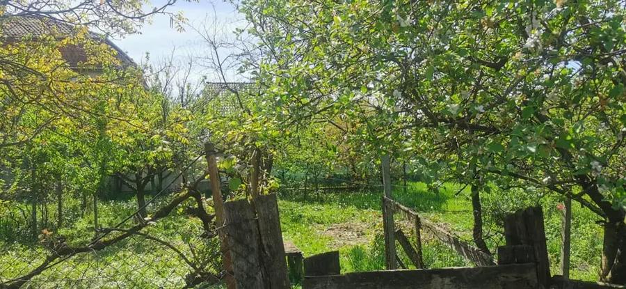 Casă cu 2 camere în Sebiș