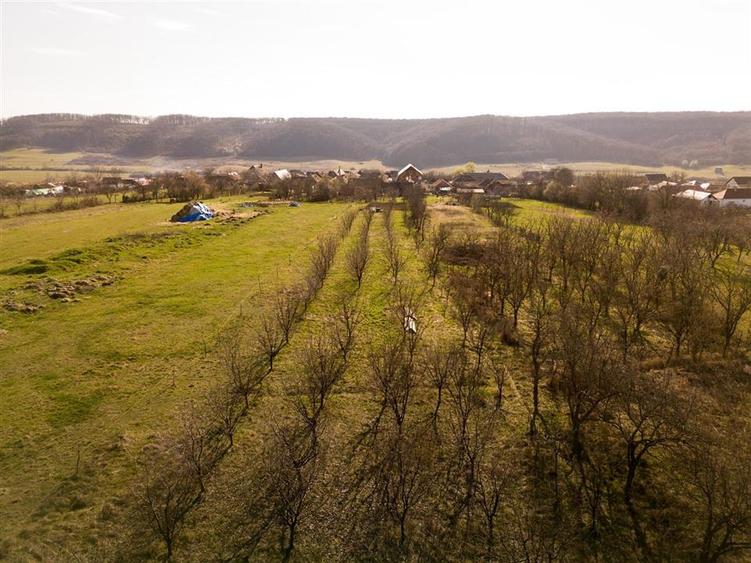 Teren intravilan de 1966 mp, în Betfia