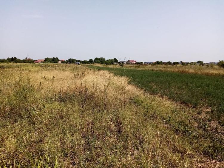 Teren Construcții intravilan de 4546 mp, în Corbeanca
