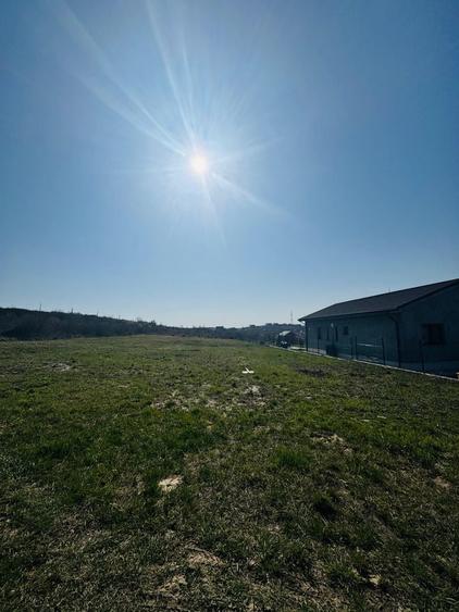 Teren Intravilan 1000 mp Dealuri - Oradea - 2