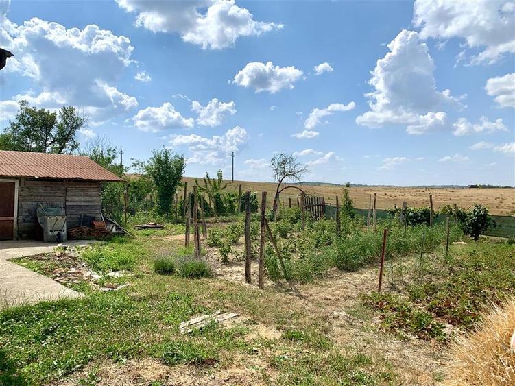 Casă individuală cu 3 camere cu Teren 1100 Mp în Brusturi