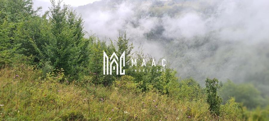 Teren agricol extravilan de 5000 mp, în Bistra