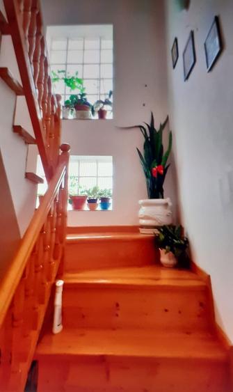 Proprietar vand casa + teren generos in Sabiesti (Racari, Dambovita) - 4