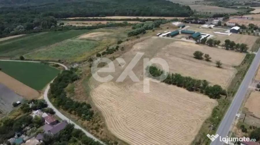 Black Angus Farm with authorized Slaughterhouse - 10