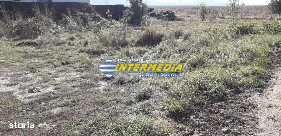 Teren Intravilan de vanzare 533mp, in Oarda cu utilitati! - 5