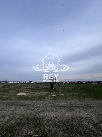 Teren Arabil Turnișor - Spre ferma de pui - 5