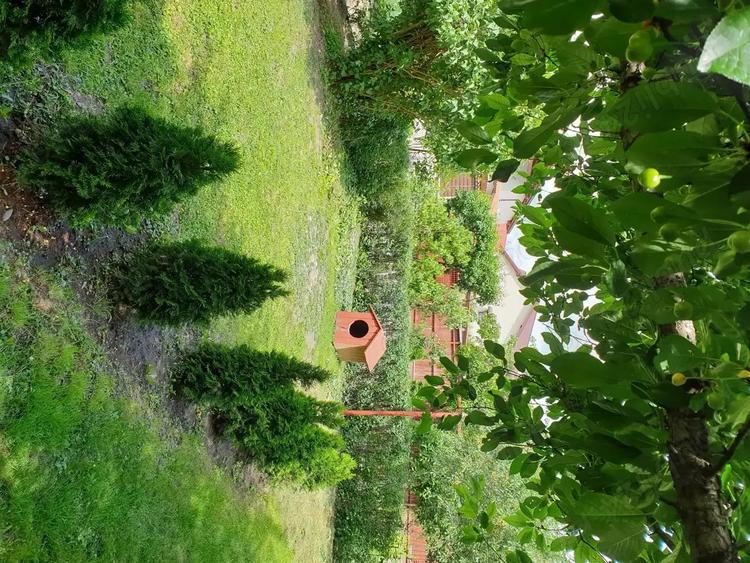 Casa premium ultracentrala Focsani | Curte privata | Ideal investitie - 1