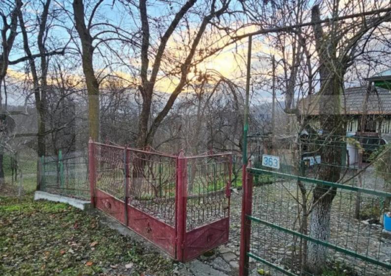 Casa rustica (62mp) in sat Magura cu 1000mp teren si anexe! - 3