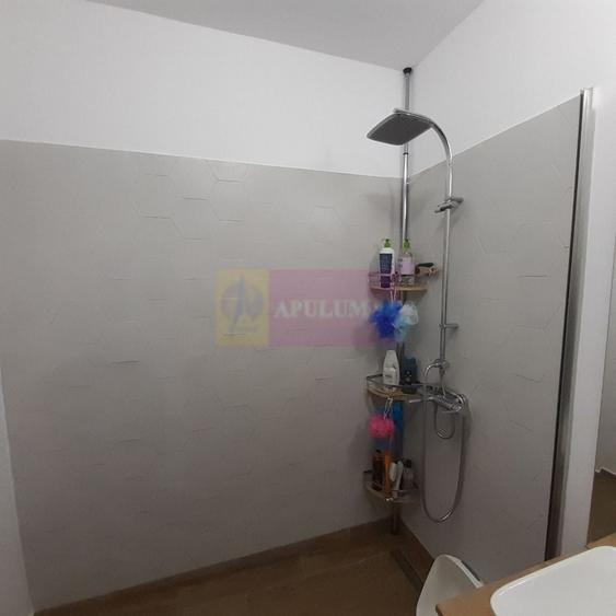 Casă pe Parter în Măgurele, aproape de București - 46