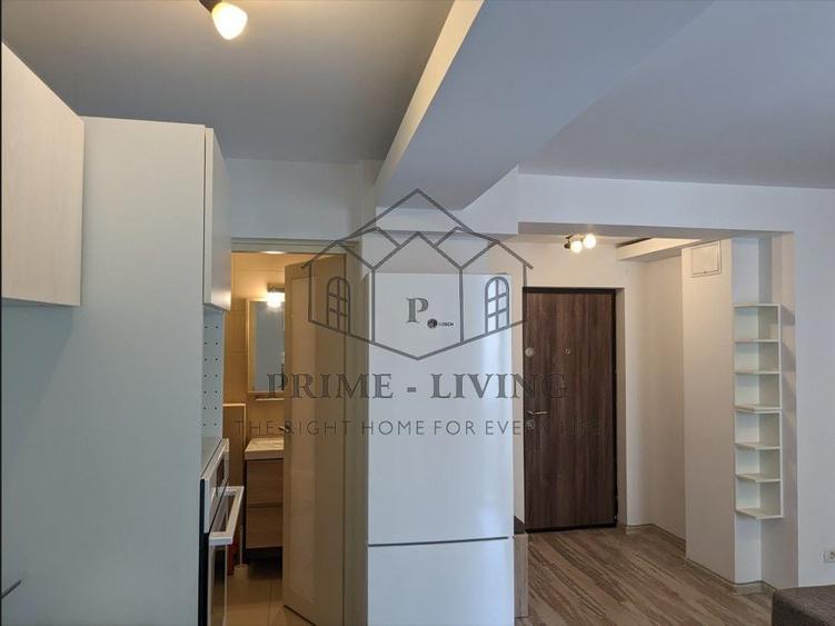 APARTAMENT COCHET CU 1 DORMITOR LA INCHIRIERE LANGA PARC HERASTRAU - 7