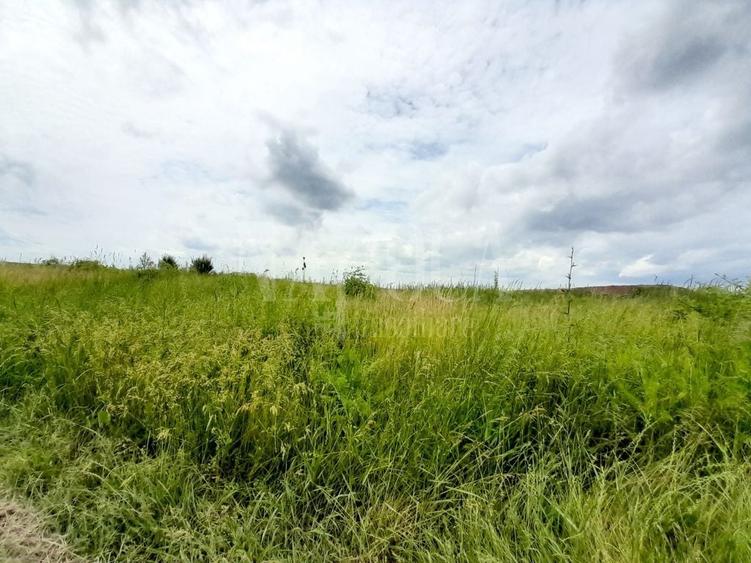 Teren intravilan pentru constructii de vanzare in Cheriu - 2