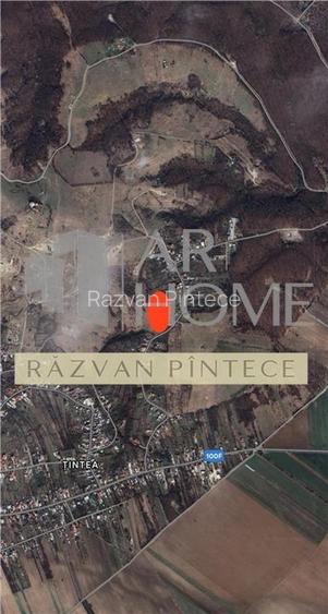 Teren intravilan 5590 mp, utilitati, Baicoi, langa Ploiesti Teren intravilan 5590 mp, utilitati, Baicoi, langa Ploiesti