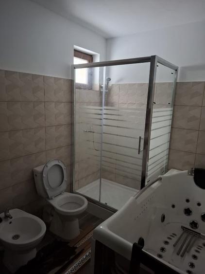 Casa, teren si padure de vanzare-40.000 mp, direct proprietar in Apuseni. - 11