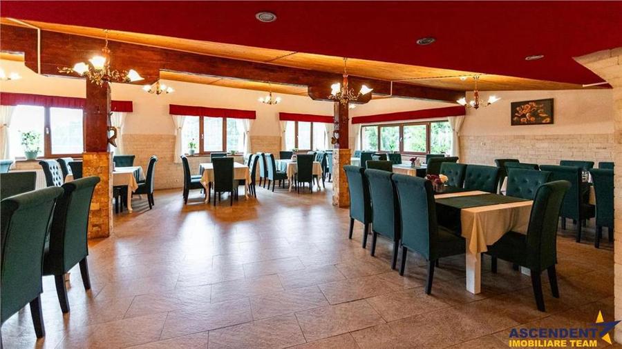 FILM! Ansamblu turistic, zona scenica, vedere, aer proaspat, preluare afacere ascendenta - 15