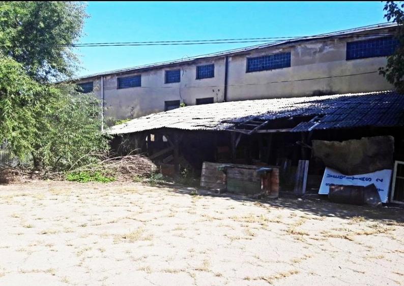 Spatiu comercial, atelier, depozit de inchiriat, Medias, Pictor Aman - 3