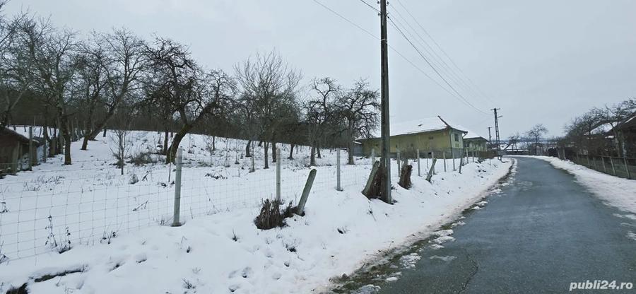 Casa cu Anexe, Gradina + 2Ha Terenuri - 3