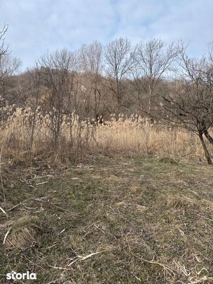 Teren de vanzare Fieni Dambovita - 5