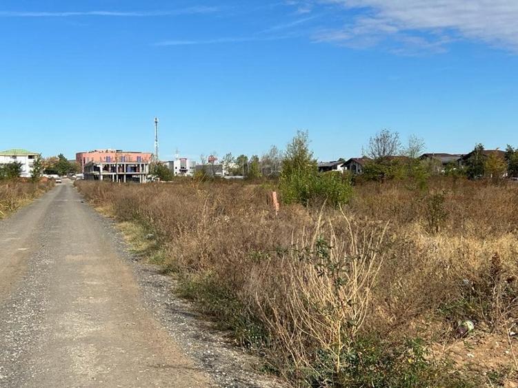 Pantelimon -Lebada, str. Băile Felix, teren intravilan 7500 mp - 2