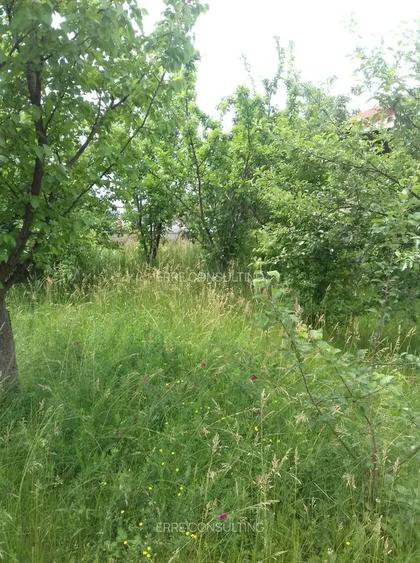 Casa situata in carttierul rezidential Domnesti - 1