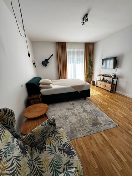 Casa individuala de lux langa complex Moara - 12