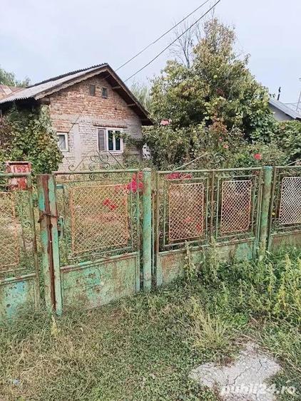 Potigrafu Crivina - 4