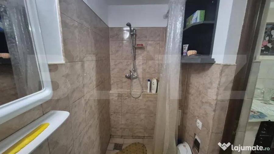 Casa cu 2 camere, 65 mp, teren 2910 mp, in Viile Satu Mare - 16