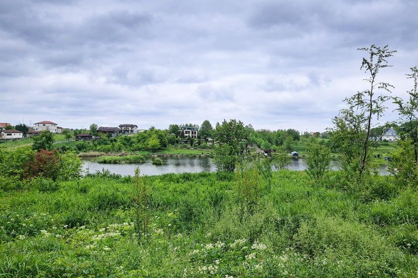 Teren Balotesti - Intravilan Constructii - 833 mp - Utilitati - Lac - Ocazie - 2