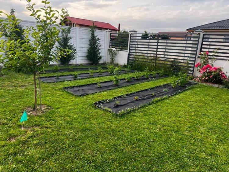 Teren anexa + livada, toate utilitățile - 8