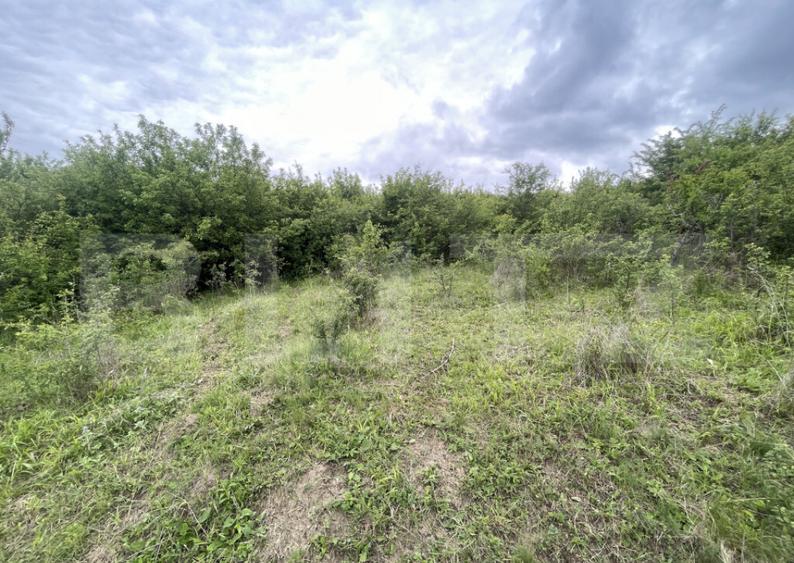 Teren extravilan 5200 mp Budacul de Jos- Investi?ie ex - 6