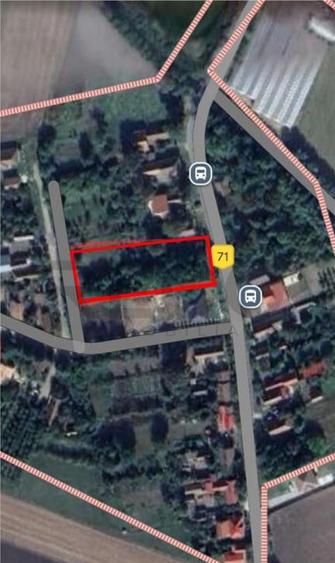 RECO Teren intravilan in Santaul Mare - 1