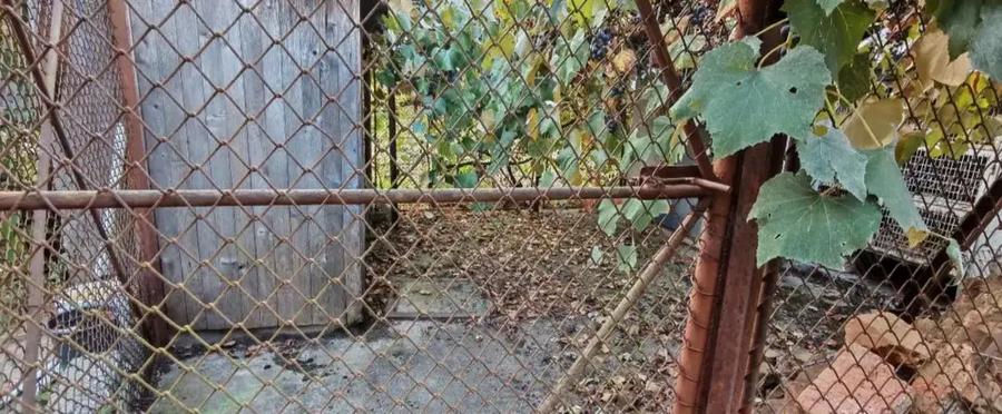 Vand casa cu etaj in localitatea Lapu?nic - 8