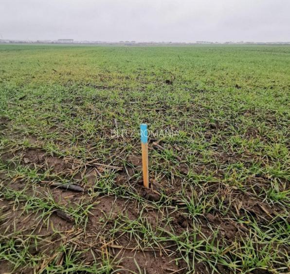 Teren de vanzare de 16300 mp, Magurele