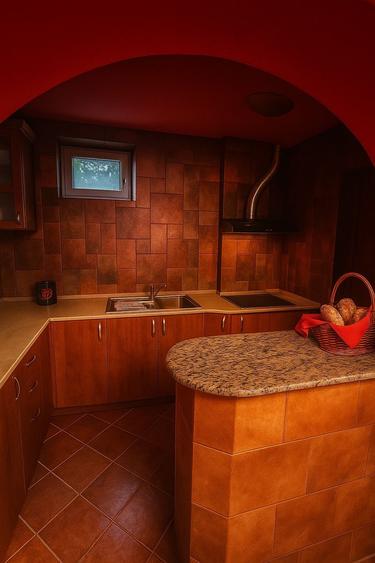 VILA CU PONTON LA LAC, PISCINA IDEALA PENTRU AFACERE sau LOCUIT - 37