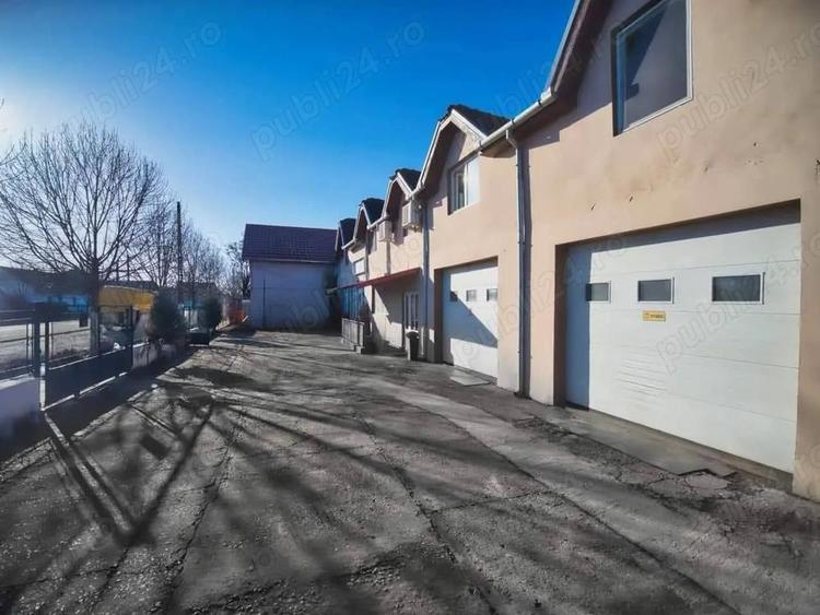 Vila de vanzare + afacere in Sannicolau Mare - 1