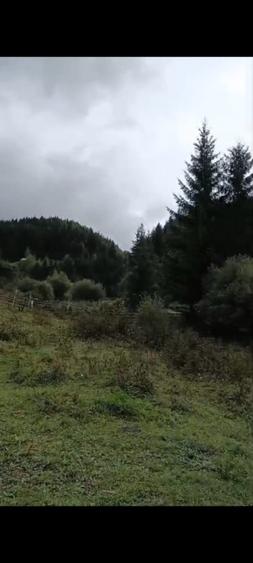 TEREN DORNA ARII - 6