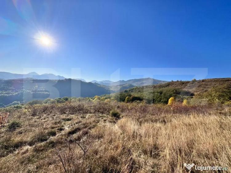 Teren de vanzare - 2