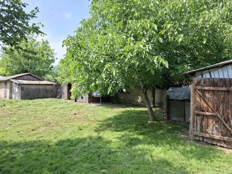 Vand proprietate in comuna Nanesti Vrancea - 8