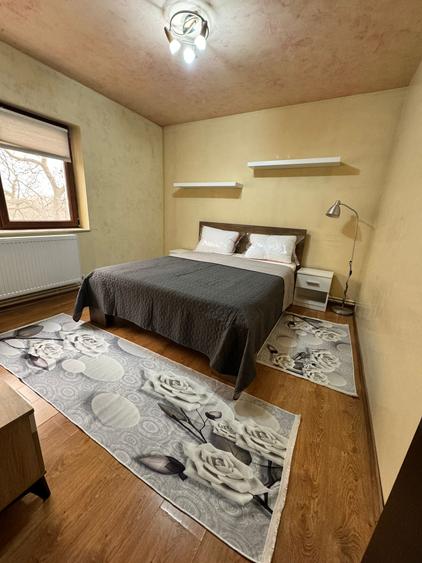 Ap. 2 camere CITY PARK MALL- 56mp mobilat, utilat - vedere spre Parcul Tăbăcărie - 6