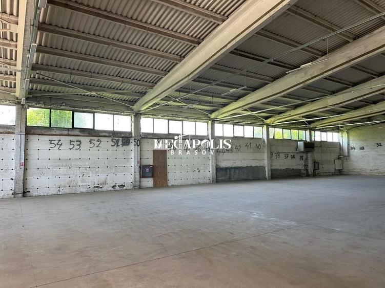 Hala Brintex str.Bazaltului / 5 euro mp - 11