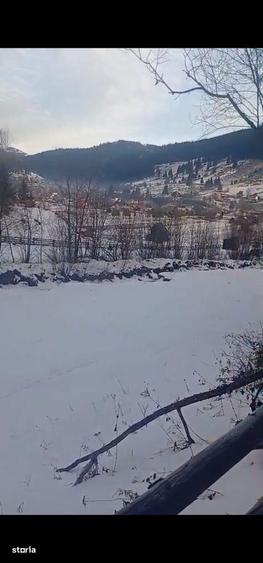 Teren langa padure 8179 mp , cu izvoare de munte - 6