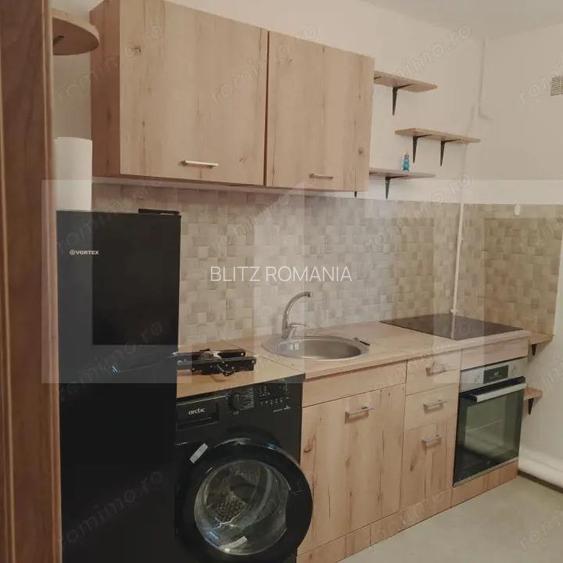 Apartament cu o camera Buziasului