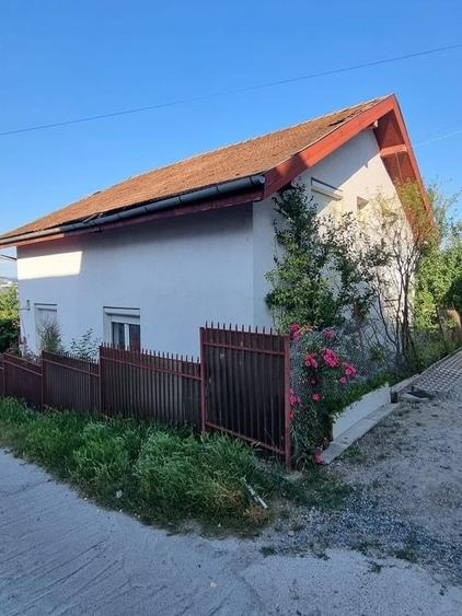 Casa de vânzare, 5 camere, 2 băi, 170 mp - 1