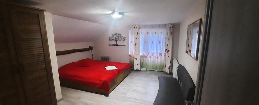 Casa pt investitie in Hunedoara - sat Govajdia - 8