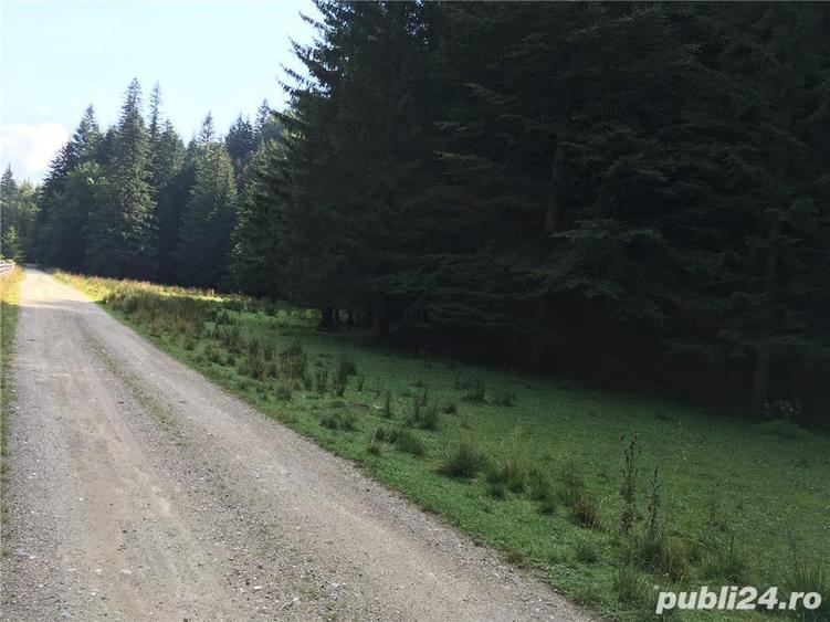 Teren casuta de vacanta Chirusca (Pirusca) la poalele muntelui Ciucas - 6