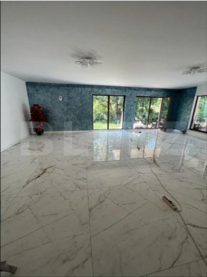 Casa de vanzare, pe un singur nivel, 170 mp + 2.300 mp teren - 3