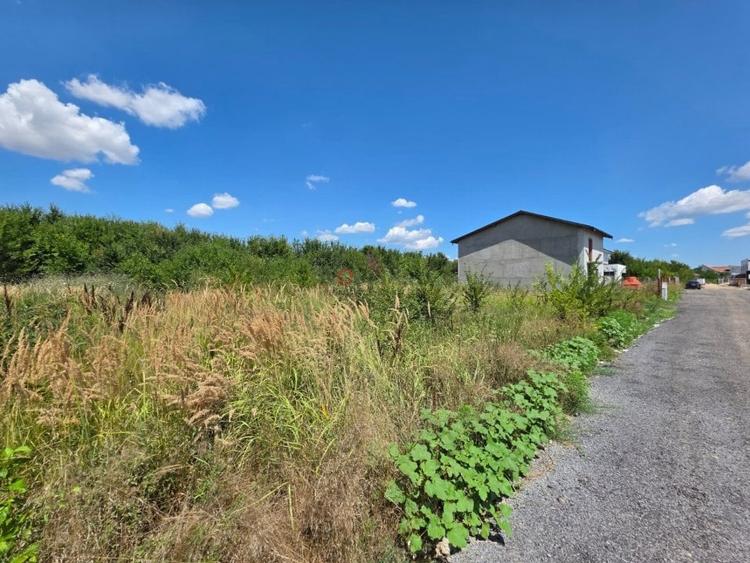 Preț redus! Teren 1.120 mp | Autorizație de construire | Corbeanca - 3