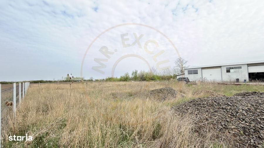 Teren Intravilan 1300 mp / Extravilan 3.700 mp/ DJ 196B Carei (DN 1F) - 5