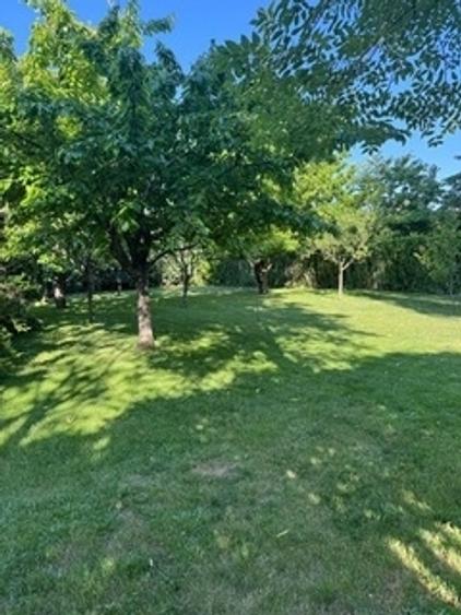 Bragadiru Mugurelui Vila solida constr 2005 + piscina + teren 2000 mp - 3