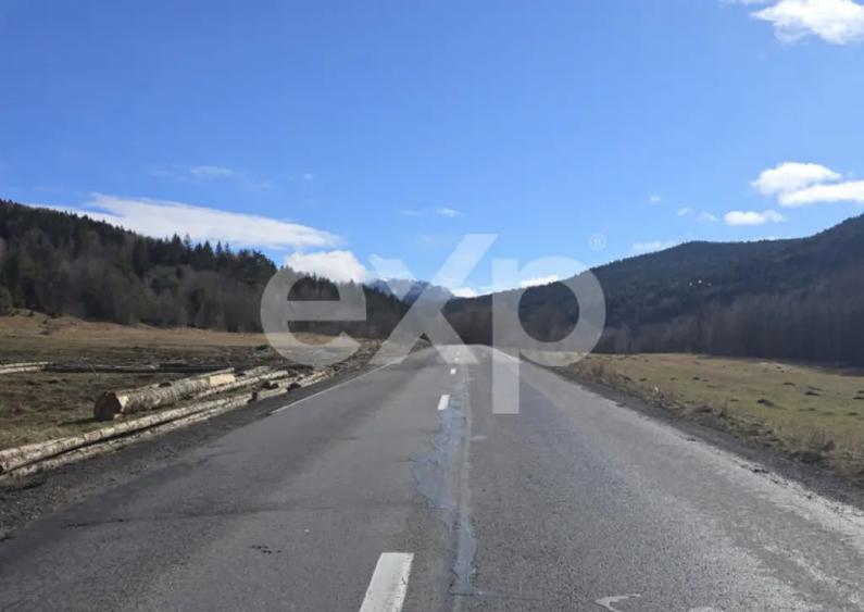 Teren extravilan 19.200 mp DN1A Sacele, Bradet | Front - 5