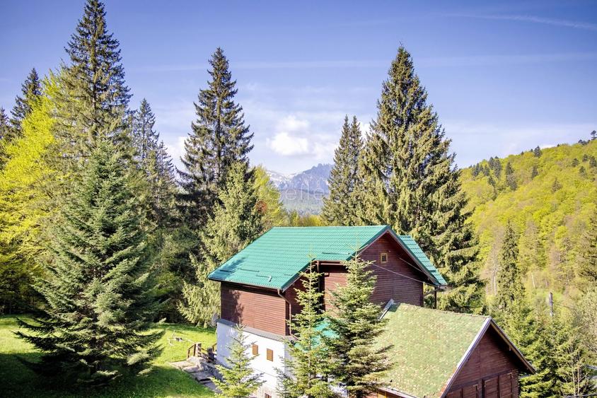 Duplex in mijlocul naturii - 4